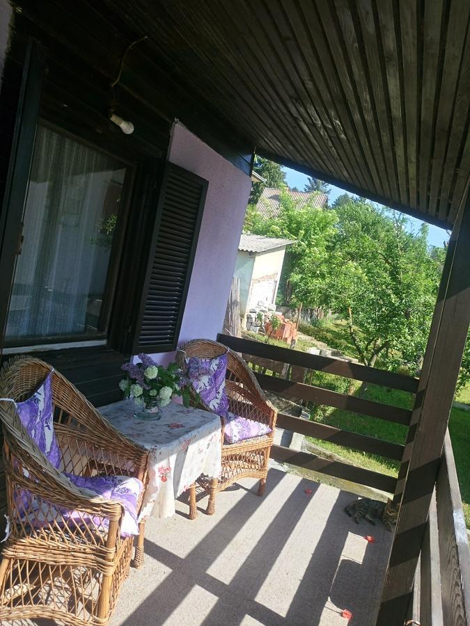 Apartmani Jankovic 브르드니크 외부 사진